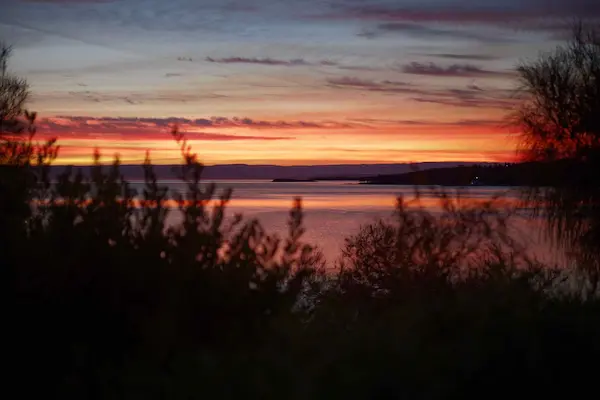 Coles Bay grass sunset